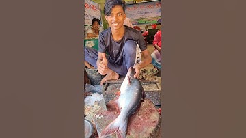 How To Remove Fish Skin | Big Pangas Fish Cutting In Bangladesh 😱 #shorts​ #lifeisbutadream 🔪🙀😱