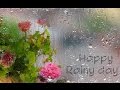 Rainy Day.  Сажаем кедры в Приморском парке (Северодвинск)