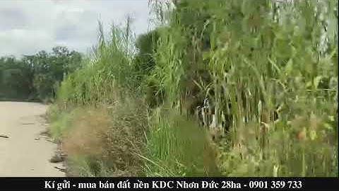 Khu dân cư Nhơn Đức 28ha Nguyễn Bình Nhà Bè T12/2020 - Tường Thịnh Land