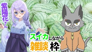 そのネコ、手段を選ばずスイカを目指し雑談する夜