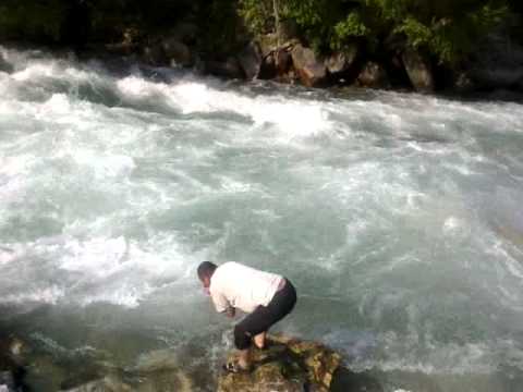 Video: Дарыянын дельтасындагы 