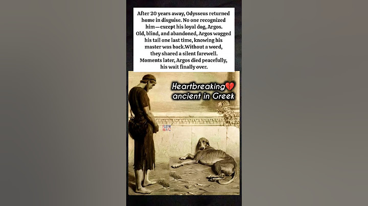 💔Heartbreaking loyalty that only a dog can show 🐕💔 #shorts #doglove #dog