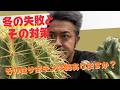『冬の失敗と対策』金鯱が腐ってしまった！？