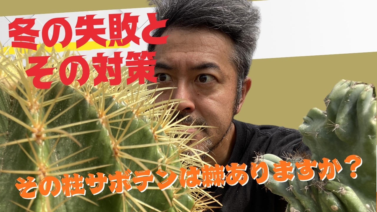 『冬の失敗と対策』金鯱が腐ってしまった！？