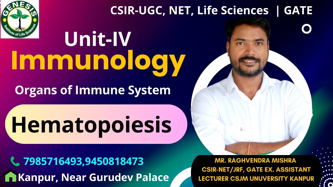 Hematopoiesis | Organs of Immune System | Immunology#genesis_institute