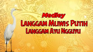 Medley Langgam Mliwis Putih dan Ayu  Ngguyu ...