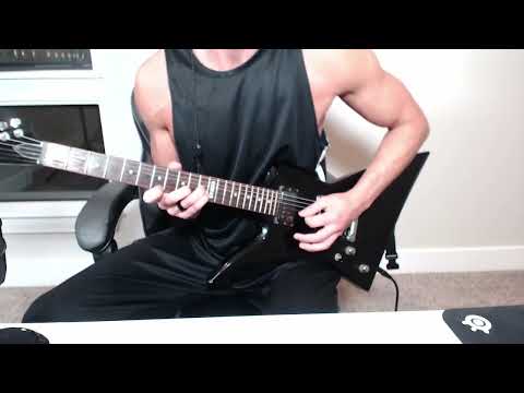 the GazettE - TOMORROW NEVER DIES guitar cover live