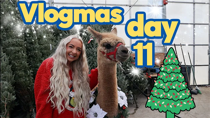 We met A CHRISTMAS ALPACA .. dream come true *Vlogmas Day 11*
