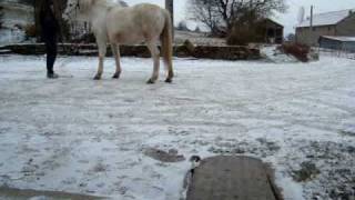 Océane À La Jambette