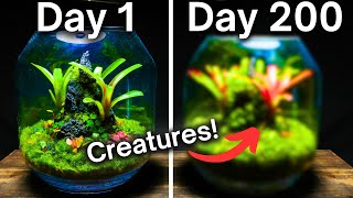 200 Days Ago I Made an Ecosystem, This Happened! by Terrarium Designs 28,074 views 1 month ago 5 minutes, 49 seconds