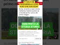 le regole per gli italiani è solo un fastidio #perte