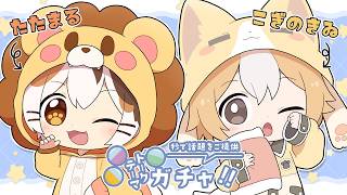 何が出るかな？トークテーマガチャでまったり雑談！【たたまる/こぎのきゐ】