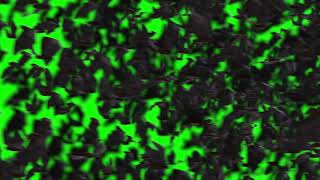 4K Bats Flyby Transition - Green Screen
