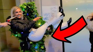 Best of Christmas Tree Prank 2025 | Bushman Prank Reactions