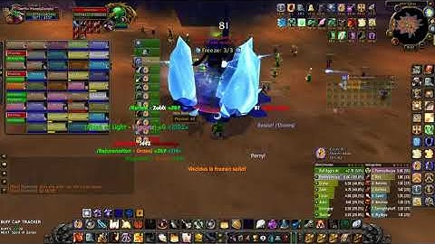 60 Protection Paladin tanking Viscidus with the Hammer of the Northern Wind!