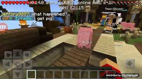 Commands in minecraft pe lbsg server