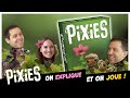 Pixies on explique et on joue avec lauteur