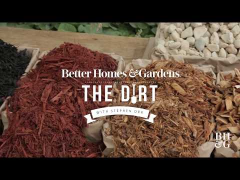 Mulch must-knows | The Dirt | Better Homes & Gardens