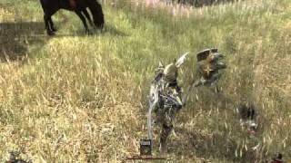 Two worlds 2 Fight with dragon armor