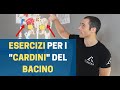 ESERCIZI per i 2 "MUSCOLI CARDINE" del BACINO (provali per lombalgia e dolori anca)