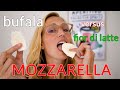 American Girl Tries Italian Mozzarella: Mozzarella di Bufala v. Fior di Latte