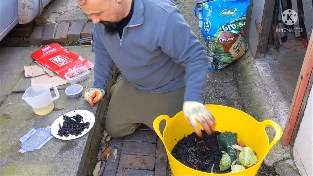 making a worm bin for fishing..