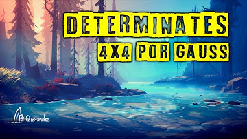 Determinante 4x4 por metodo de Gauss