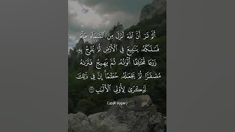 سورة الزمر بصوت الشيخ أبو أنس شمس الدين خلف الله