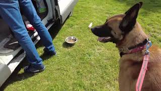 Read all about it  This Dog visits this Beautiful Camp site