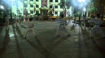 KarateDo Trường CĐSP Nghệ An: Tewaza Shodan