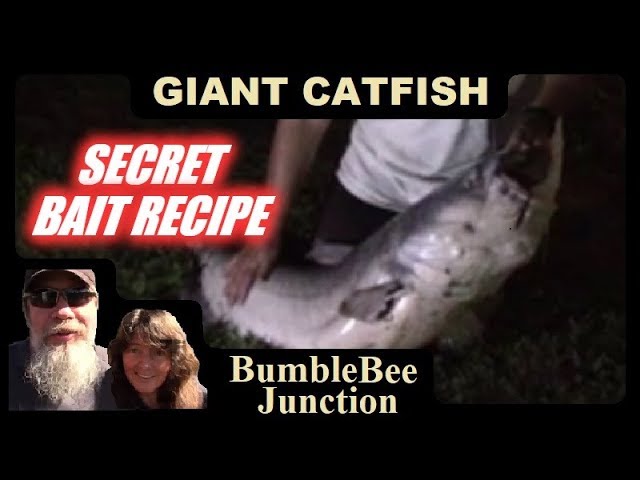 Giant Catfish Caught On Secret Strawberry Chicken Bait Recipe 