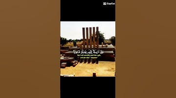 * "آيات تريح القلب" * "تلاوة عطرة للقرآن الكريم" * "لحظات تأمل مع آيات القرآن"  #قران_كريم * #تلاوة