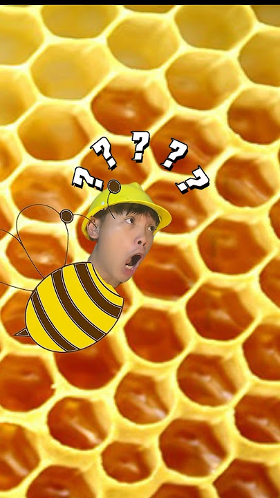 bees don't like you doing that 😂 #shorts #honey #honeybee #beekeeper #bee