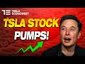 What Can Pump Tesla&#39;s Stock Price to $300 this Year?