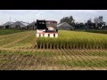 AG7114R  稲刈り