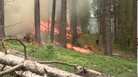 Fire Behavior and Ecological Restoration