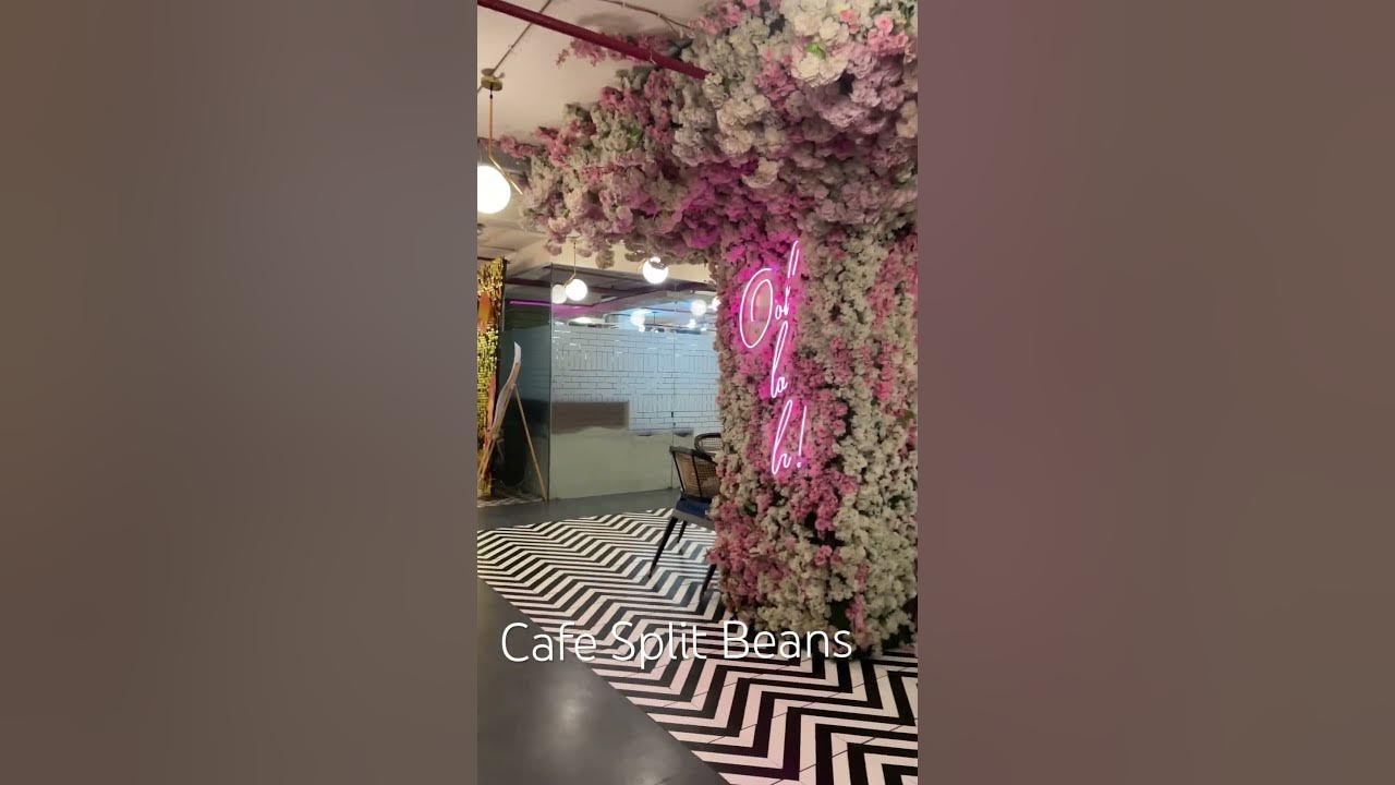 Cafe Split Beans Indore YouTube