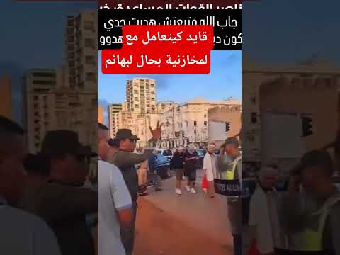قائد كيتعامل مع لمخازنية بحال لبهايم