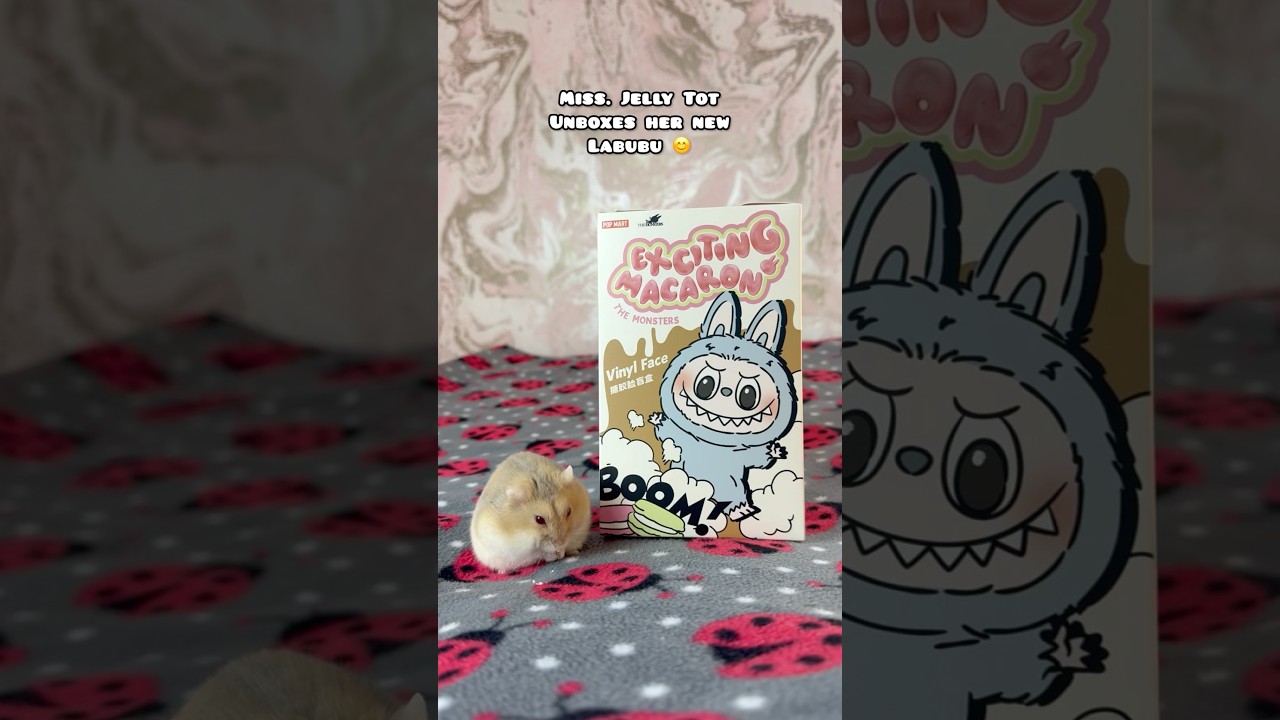 Miss. Jelly Tot Unboxes Her New LABUBU! ❤️🥰 