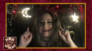 Wild K'Night | Episode 6 | Merry Yule!