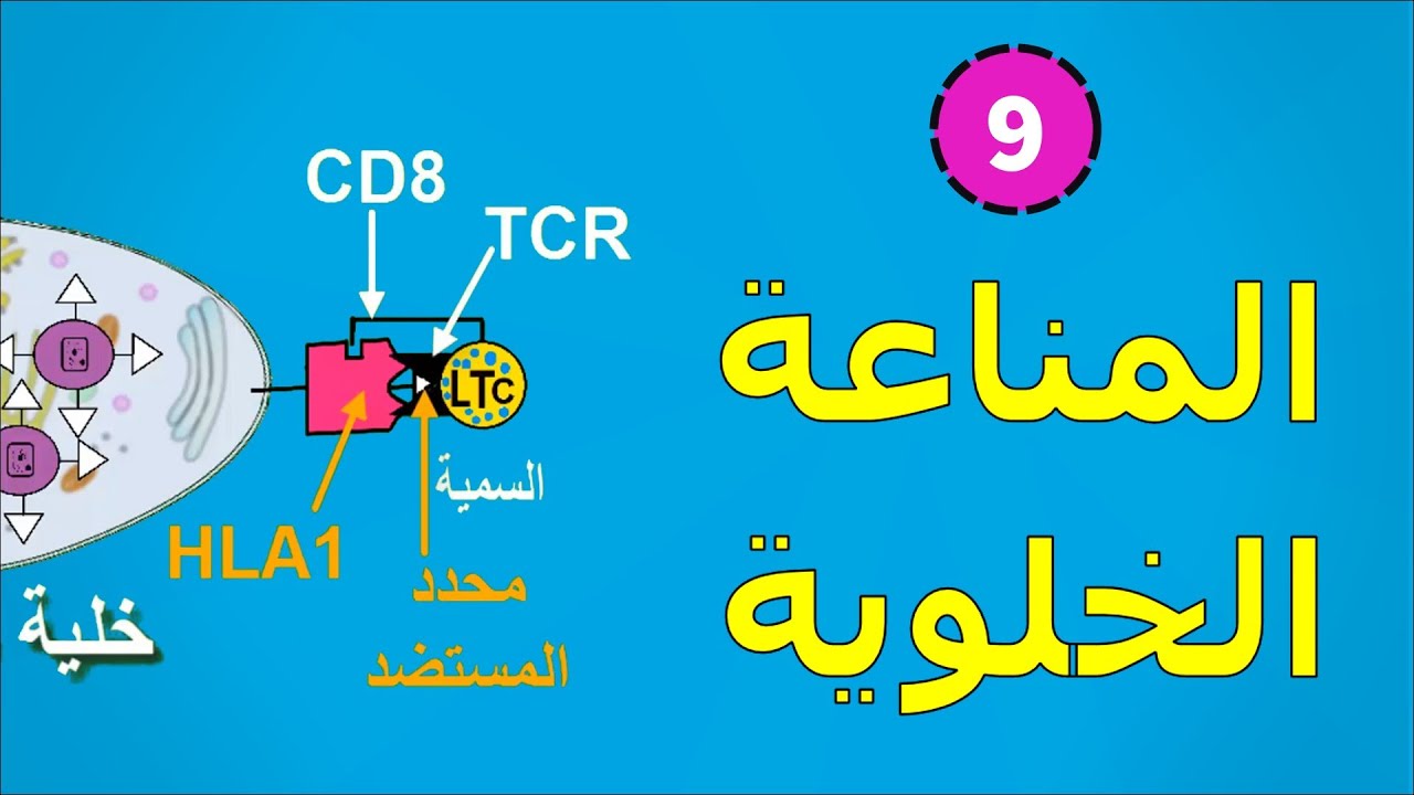 9- كيف تحدث المناعة الخلوية ☠️ ؟