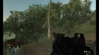 xfx 8600gts XXX Crysis