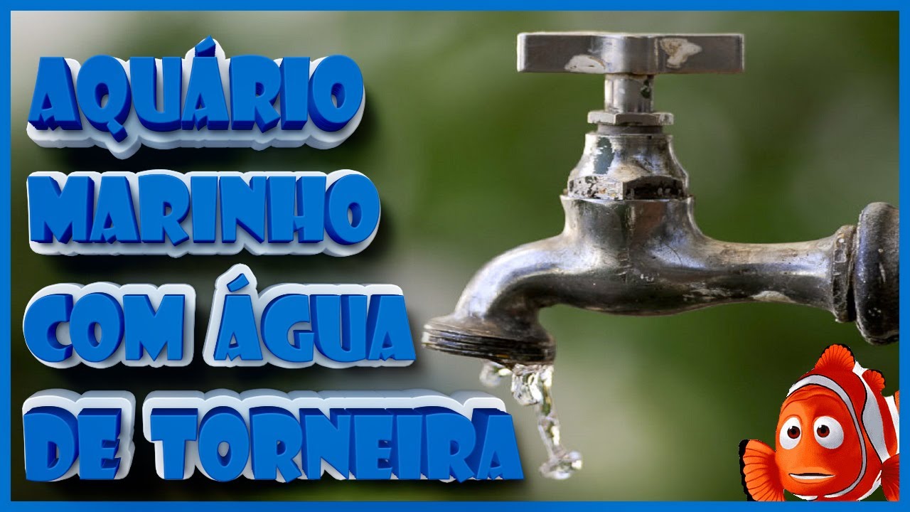 AQUÁRIO MARINHO COM ÁGUA DE TORNEIRA