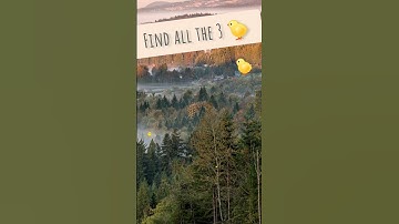 Try to find all the ducks ep46