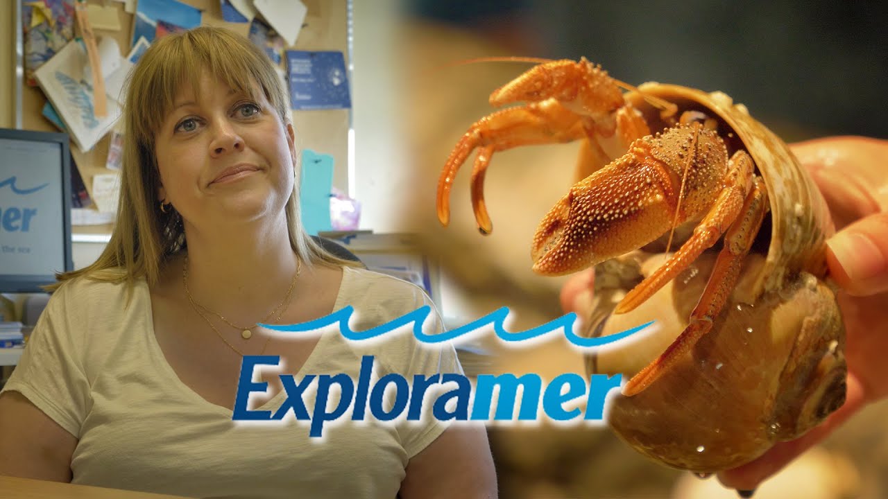 Comme des poissons dans l'eau à Exploramer ! 