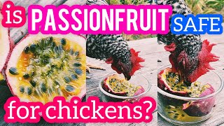 is Passionfruit safe for chickens?