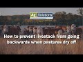 How to prevent livestock from going backwards when pastures dry off