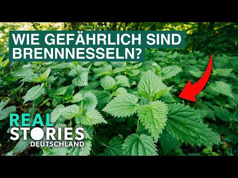Poison in the Garden: Should Nettles Be Banned? | Documentary