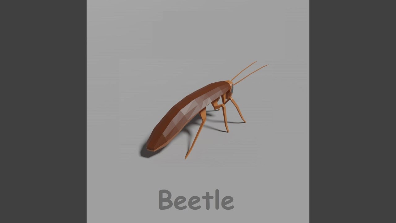 Beetle - YouTube