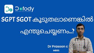 കരളിന്റെ പരിശോധന ചെയ്യണോ ?💉 Is your SGPT, SGOT Test  High? Does that mean Liver Damage? 🩺 Malayalam